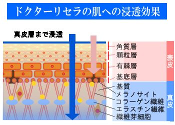 ドクターリセラの肌への浸透効果